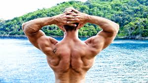 Iso22002 1 技術 仕様 書. Wallpaper Bodybuilder Back View Man Muscle 3840x2160 Uhd 4k Picture Image