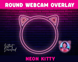 Pin On Webcam Overlays