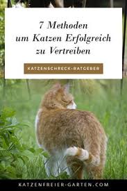 Sie machen keinen halt vor zäunen und erledigen ihr geschäft auch. Die 9 Besten Bilder Zu Katzen Frei Katzen Garten Gartentipps