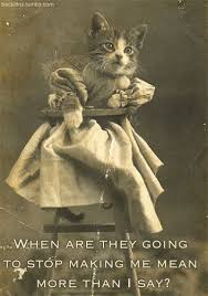 Samuel Beckett Motivational Cat Posters | Crazy cats, Vintage cat, Animals