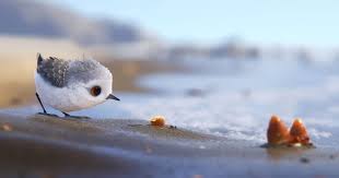 The oscar will go to saria. Pixar S Charming Film Piper Scores Academy Award For Best Animated Short Film The Smalls