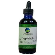 Image result for Cryptolepis products