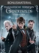 Besonders mit seiner beziehung zu nagini. Phantastische Tierwesen Grindelwalds Verbrechen Bonus Kaufen Microsoft Store De De