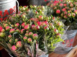 Maybe you would like to learn more about one of these? Trader Joe S Is Selling Peonies Again Just In Time For Warmer Weather