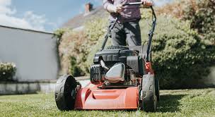 Here you will find the latest lawn mower sale in the uk from retailers like asda, argos and wickes. Argos Lawn Mower Hailed A Superb Little Mower By Gardeners