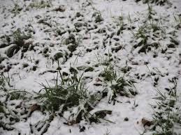 (xive siècle) déverbal de neiger, du latin populaire *nĭvīcare (cf. Neige La Metropole De Lyon A Declenche Son Dispositif De Viabilite Hivernale