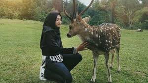 Apr 27, 2021 · january 26, 2021 aku yang tidak kau ini itu dan di anda akan apa dia saya kita untuk mereka ada tahu dengan bisa dari tak kamu kami adalah ke ya orang tapi harus pergi baik dalam sini seperti hanya ingin sekarang semua saja sudah jika oh apakah jadi satu jangan notes 1) this list was created using public/free Harga Tiket Masuk Penangkaran Rusa Cariu Wisata Alam Di Bogor Yang Murah Meriah