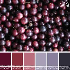 Red Grape Love Red Grapes Grapes Creative Colour