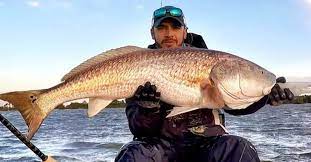 Pin On Fishing Tips