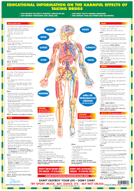 Jan Roscoe Publications Categories Posters Wall Charts