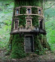 Les Maisons Les Plus Bizarres Du Monde Jardin De Maison Feerique Arbre Feerique Maison Dans Les Arbres
