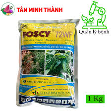 Foscy 72WP