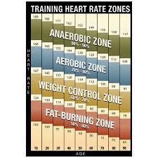 training heart rate zones chart modern poster 13x19