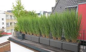 Doch was im frühling mühsam ausgesät und angepflanzt wurde, schenkt im winter oft nicht viel freude. Kunst Undlustgaertnerei De Gartengestaltung Balkonentwurf Design Kleiner Garten