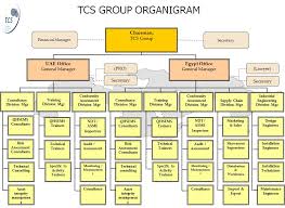 tcs group about us