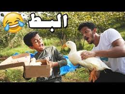 أول دخول للبط في البحيرة Youtube Family Guy Fictional Characters Character