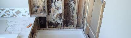 Excessive water buildup around the tub or shower area is one indication there may be water behind your tiles, which means there is likely damage. Mold In The Shower Causes How To Clean It Environix