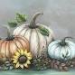 LET'S PAINT! Its PUMPKIN time!!  — Townsend event image