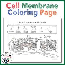 Cell Membrane Coloring Page Students Will Better Be Able To Visualize The Cell Membrane As The Cell Membrane Coloring Worksheet Cell Membrane Color Activities