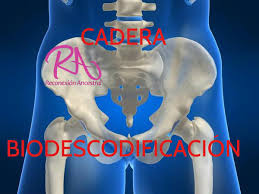 Cadera Articulacion Reconexion Ancestral