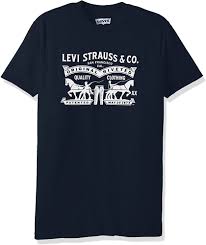 We did not find results for: Amazon Com Levi S Graphic Logo Camiseta Para Hombre Playera De Logo Grafico S Clothing Logo T Shirt Shirts Levi