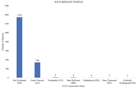 Image result for Rytigynia kiwuensis