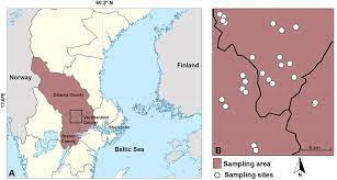 Discover exclusive offers on hotels near bergslagen. Map Of Sweden With Location Of The Bergslagen Area Black Square At The Download Scientific Diagram