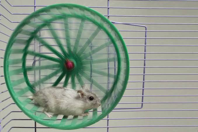 images?q=tbn:ANd9GcTzfYwPpYIAJSKAfBUI6AK