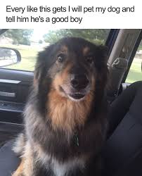Here is the collection of clean memes funny to make your day. 35 Of The Happiest Animal Memes To Start The Week With A Smile Bored Panda