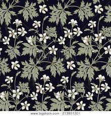 Pngtree offers floral pattern png and vector images, as well as transparant background floral pattern clipart images and psd files. Decoration Flower Vector Photo Free Trial Bigstock