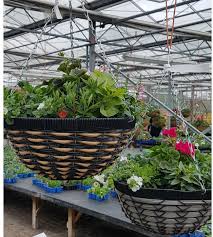 Peter Chapman Of Follyfield Nurseries Based In Willaston On The Wirral Showcases A Variety Of Jfh Products