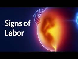 Signs Labor Has Begun