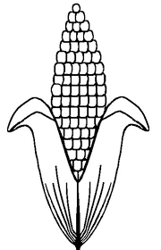 When you buy corn from your local grocery store or farmer's market, there are a few tips you can utilize to choose the best tasting, freshest corn. C Is For Corn Cob Coloring Page Coloring Sun Coloring Home