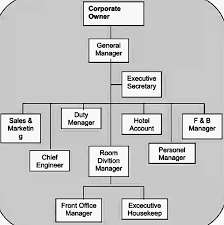 Hotel organizational chart introduction and sample org charting. Large Medium And Small Hotels Organization Structure
