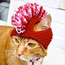 Mohawk Cat Hat Red White Pink Ready To Ship By Bitchknits On Etsy 13 00 Knitted Cat Crochet Dog Crochet Cat