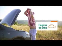 Caser ofrece todo tipo de seguros: Datos Del Ahorro En Espana Observatorio De Pensiones Caser Seguros Youtube