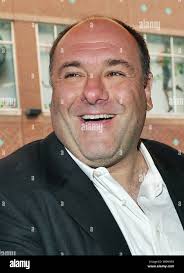 World of daisy hi-res stock photography and images