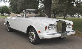 Image result for Cornflower 1994 Reliant