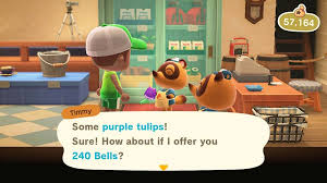 Who sells flowers in animal crossing. Animal Crossing Flowers Sell Prices
