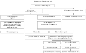 Medical Student Curriculum Kidney Stones American