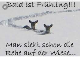 Pin Von Doris Tiefenbachet Auf Spruche Kaltes Wetter Lustig Spruche Leben Lustig Lustige Bilder