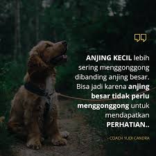 Bisa dari cerita lucu yang bisa membuat kita terpingkal pingkal yang akan. Seperti Hal Nya Seseorang Yang Selalu Ingin Menjadi Pusat Perhatian Ia Hanya Tau Dengan Banyak Berbicara Omong Kosong Ia Akan Anjing Besar Anjing Anjing Kecil