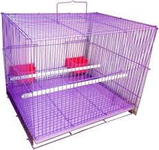 Posts about bird houses written by chris bosak. Petshop7 Bird Cage Purple Bird House Price In India Buy Petshop7 Bird Cage Purple Bird House Online At Flipkart Com