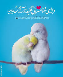 Pin On شيعة علي ابن ابي طالب هم الفائزون