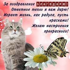Коллекция картинок со словами «спасибо» и «благодарю». Otkrytki I Kartinki Spasibo I Blagodaryu For Android Apk Download