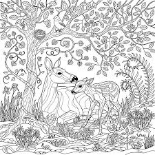 Adults need more complex and advanced pages to color and we have them just in time for the fall season. Fall Coloring Pages For Adults Best Coloring Pages For Kids