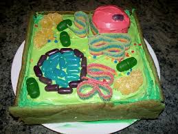 One color will be used to create the. Plant Cell Model Cake