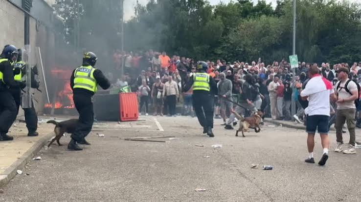 Wide shot showing riot police with police dogs controlling a crowd of... Stock Footage Video - Getty Images