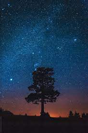 Stock Photo Of Night Sky By Dimitrije Night Sky Photography Night Sky Photography Stars Night Sky Wallpaper