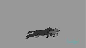 ❤ get the best wolf wallpapers on wallpaperset. Artstation Wolves Running Gif Ceruwer Ceruwer Art